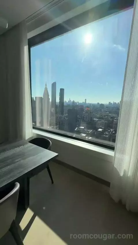 Executive Penthouse view picture #9