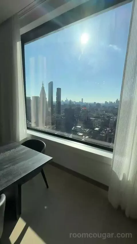 Executive Penthouse view picture #10