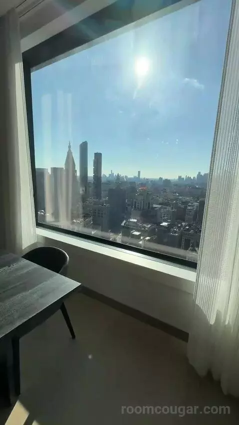 Executive Penthouse view picture #11