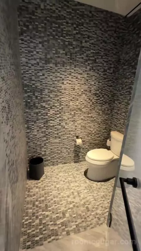 Executive Penthouse bathroom picture #4