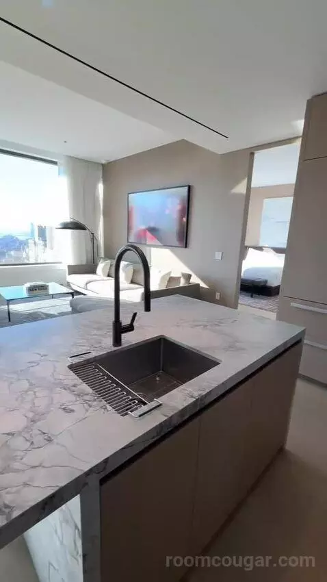 Executive Penthouse bathroom picture #6