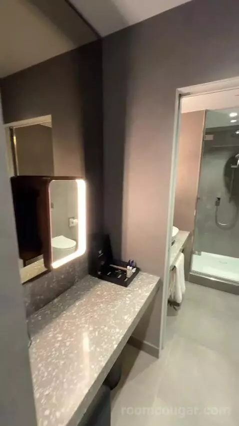 Fantastic Twin, Suite, 2 Double (#203) bathroom picture #1