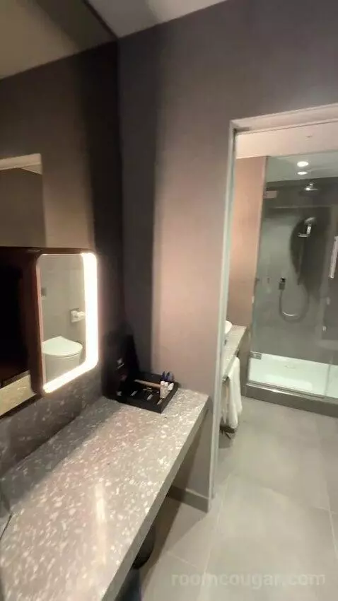 Fantastic Twin, Suite, 2 Double (#203) bathroom picture #2
