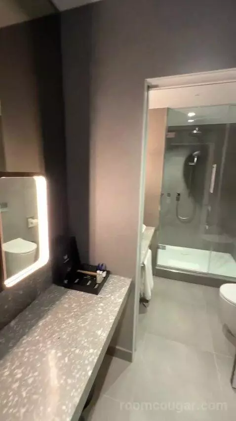 Fantastic Twin, Suite, 2 Double (#203) bathroom picture #3