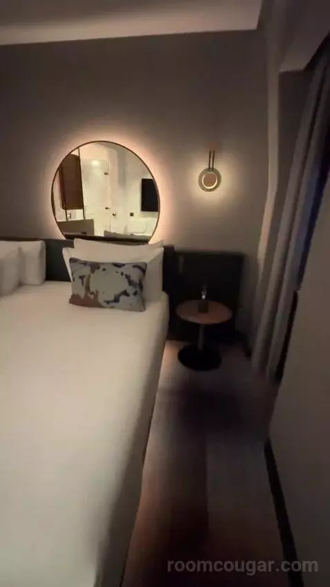 Fantastic King, Suite, 1 King bed picture #5