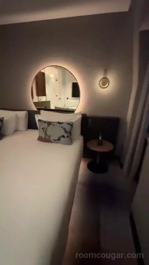 Fantastic King, Suite, 1 King bed picture #6