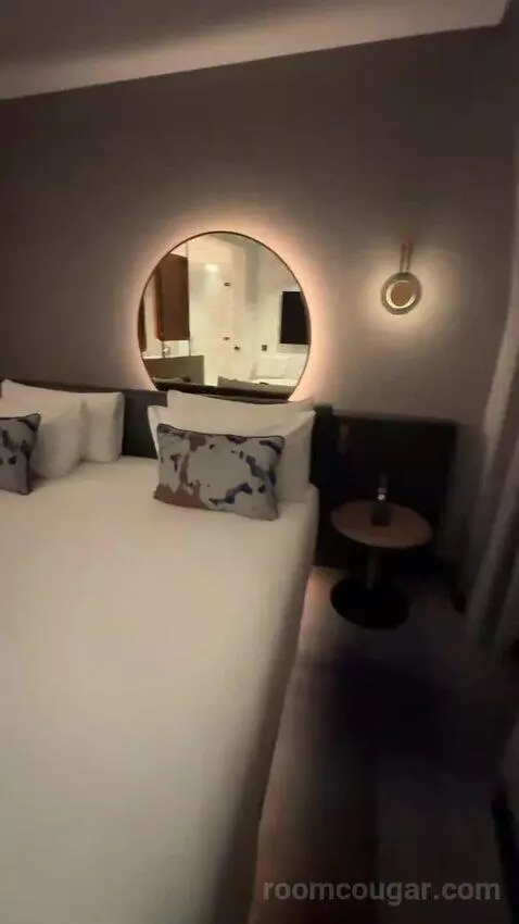 Fantastic King, Suite, 1 King bed picture #7