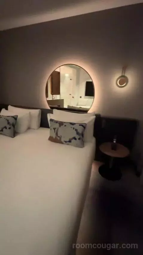 Fantastic King, Suite, 1 King bed picture #8