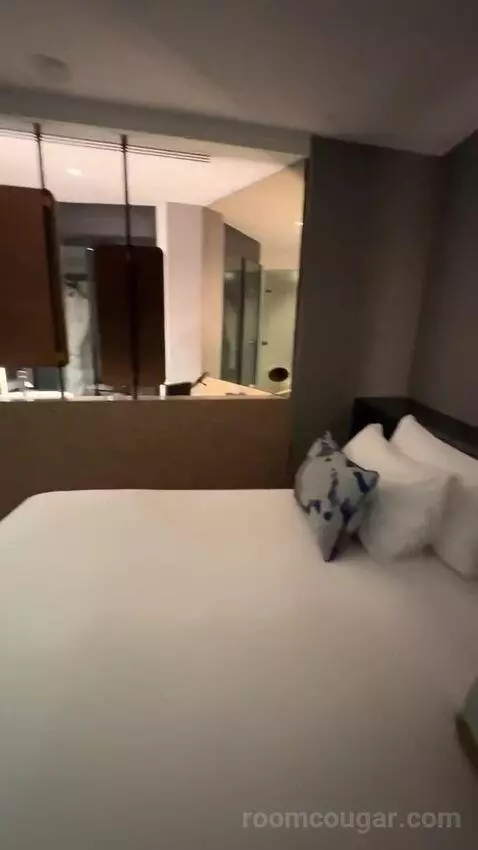 Fantastic King, Suite, 1 King bed picture #9