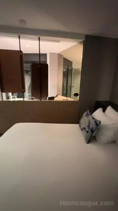 Fantastic King, Suite, 1 King bed picture #10