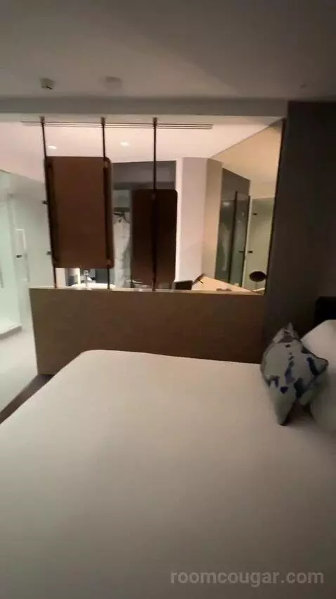 Fantastic King, Suite, 1 King bed picture #12