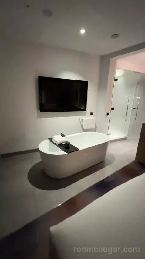 Fantastic King, Suite, 1 King bathroom picture #7