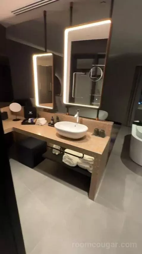 Fantastic King, Suite, 1 King bathroom picture #1