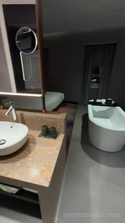 Fantastic King, Suite, 1 King bathroom picture #3