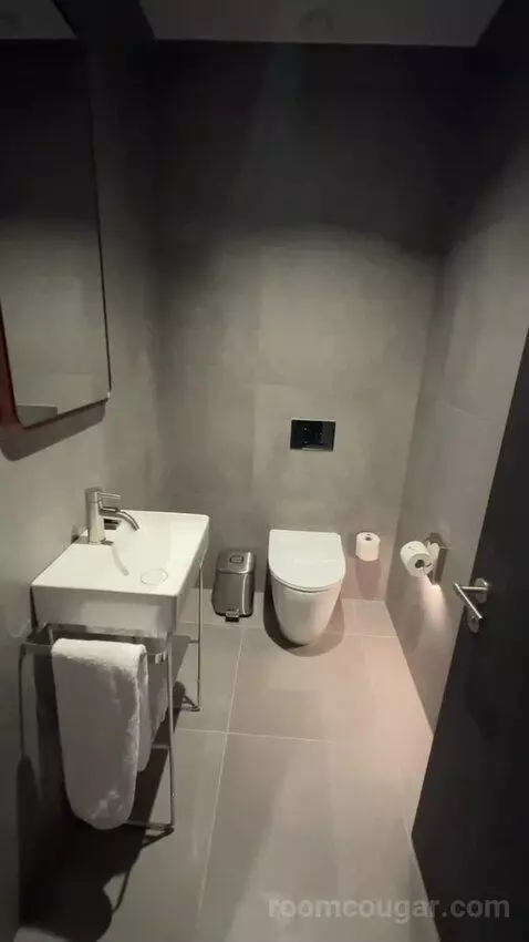 Marvelous King Suite (#309) bathroom picture #1