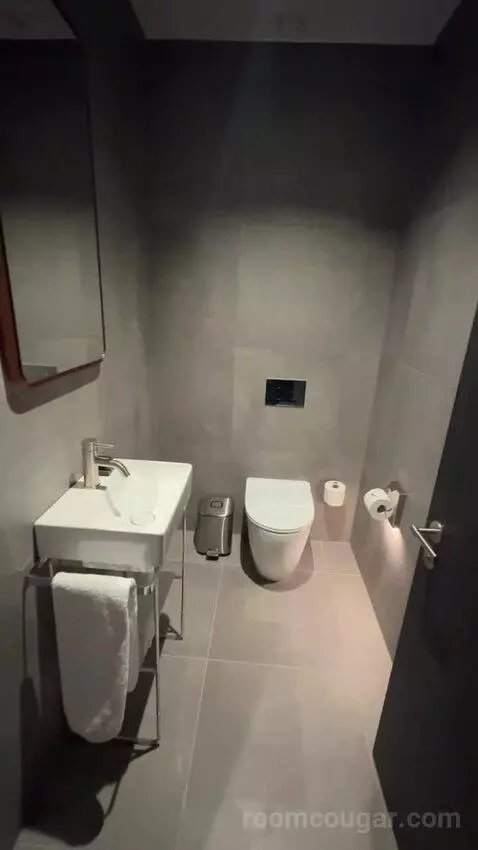 Marvelous King Suite (#309) bathroom picture #3