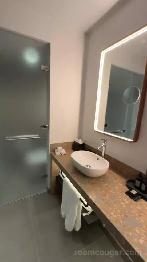 Marvelous King Suite (#309) bathroom picture #4