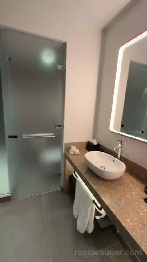 Marvelous King Suite (#309) bathroom picture #5