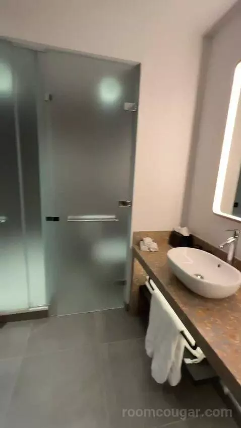 Marvelous King Suite (#309) bathroom picture #6