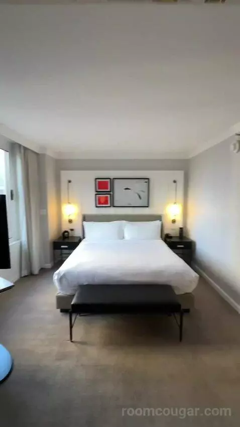 1 Bedroom Suite, 1 King, Sofa Bed (#3005) bed picture #2