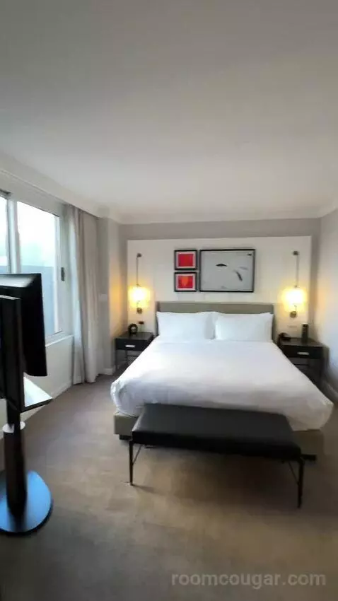 1 Bedroom Suite, 1 King, Sofa Bed (#3005) bed picture #4