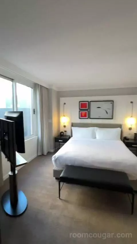 1 Bedroom Suite, 1 King, Sofa Bed (#3005) bed picture #5