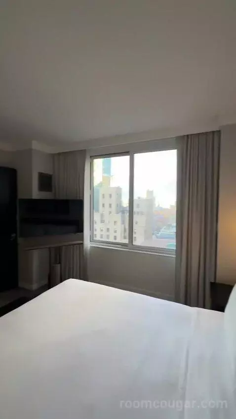 1 Bedroom Suite, 1 King, Sofa Bed (#3005) bed picture #7