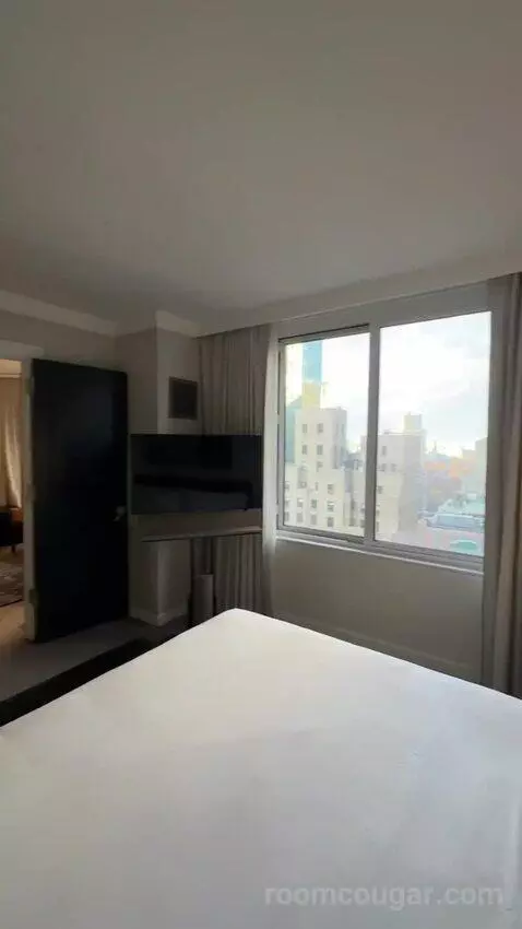 1 Bedroom Suite, 1 King, Sofa Bed (#3005) bed picture #9