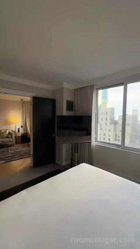 1 Bedroom Suite, 1 King, Sofa Bed (#3005) bed picture #11