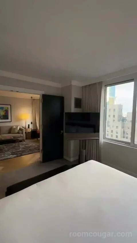 1 Bedroom Suite, 1 King, Sofa Bed (#3005) bed picture #12