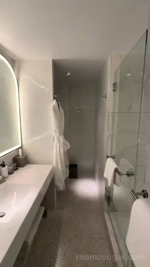 1 Bedroom Suite, 1 King, Sofa Bed (#3005) bathroom picture #1