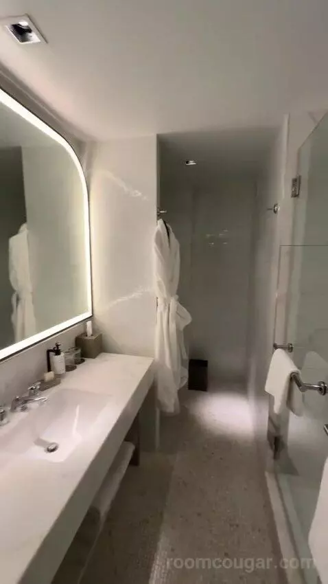 1 Bedroom Suite, 1 King, Sofa Bed (#3005) bathroom picture #3