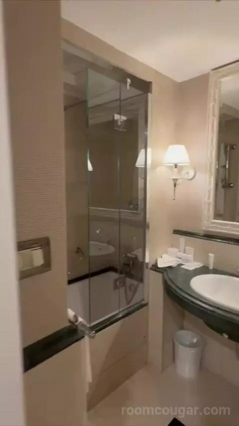 1 Bedroom Suite, 1 King and Sofa Bed (#119) bathroom picture #1