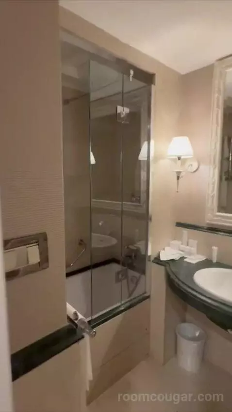 1 Bedroom Suite, 1 King and Sofa Bed (#119) bathroom picture #2