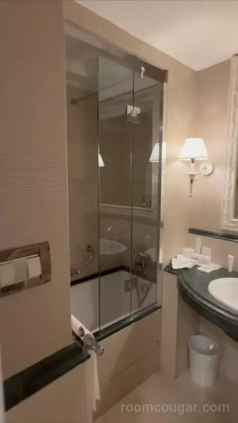 1 Bedroom Suite, 1 King and Sofa Bed (#119) bathroom picture #3
