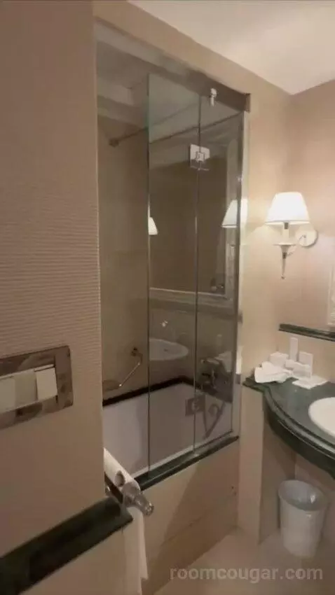 1 Bedroom Suite, 1 King and Sofa Bed (#119) bathroom picture #4