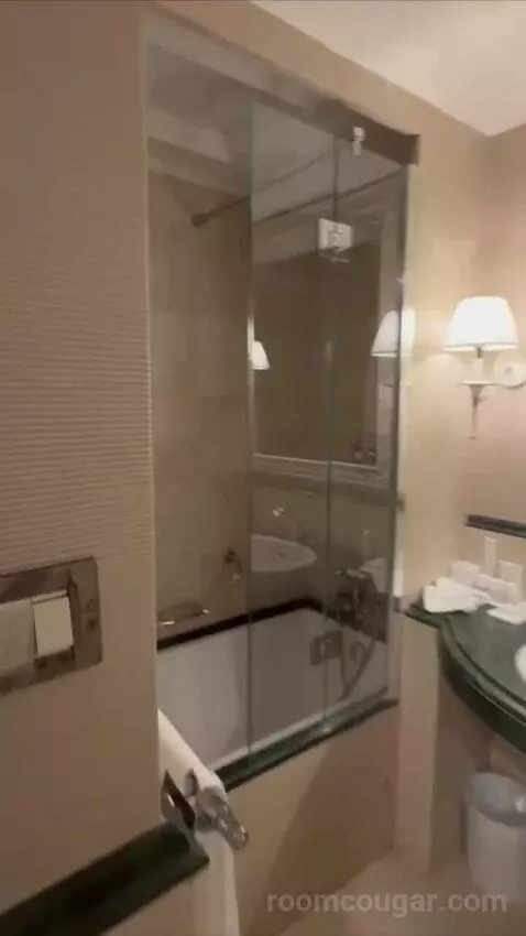 1 Bedroom Suite, 1 King and Sofa Bed (#119) bathroom picture #5