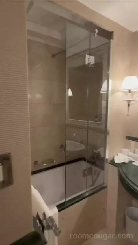 1 Bedroom Suite, 1 King and Sofa Bed (#119) bathroom picture #6