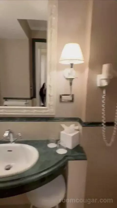 1 Bedroom Suite, 1 King and Sofa Bed (#119) bathroom picture #9
