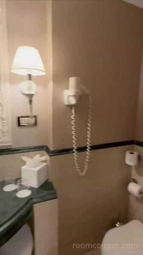1 Bedroom Suite, 1 King and Sofa Bed (#119) bathroom picture #12