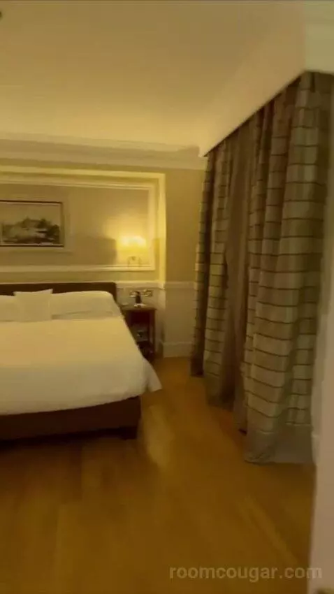 1 Bedroom Suite, 1 King and Sofa Bed (#119) bed picture #1
