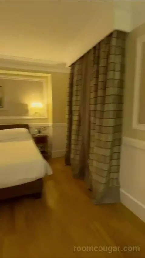 1 Bedroom Suite, 1 King and Sofa Bed (#119) bed picture #3