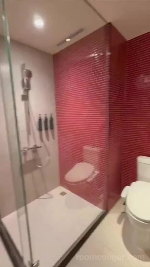 Savvy King Room (#720) bathroom picture #6