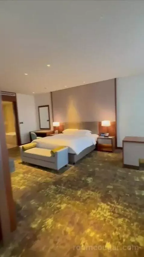 Deluxe King Suite with Executive Lounge Access (#3002) bed picture #8