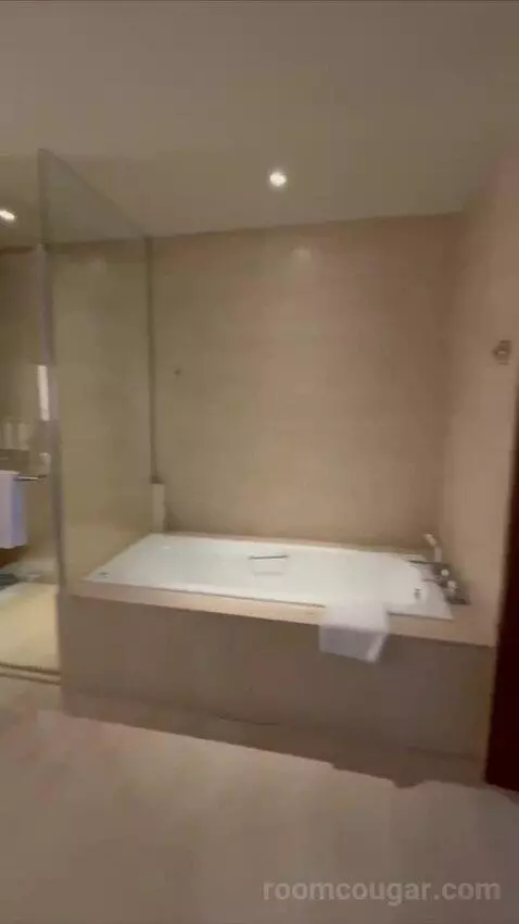 Deluxe King Suite with Executive Lounge Access (#3002) bathroom picture #3