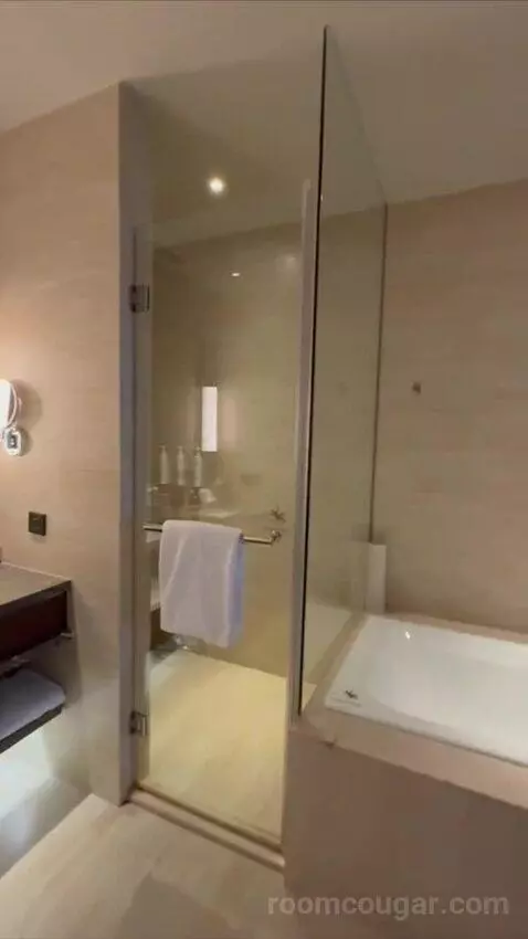Deluxe King Suite with Executive Lounge Access (#3002) bathroom picture #5