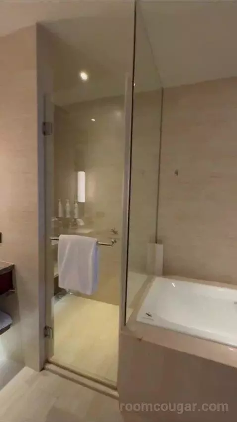 Deluxe King Suite with Executive Lounge Access (#3002) bathroom picture #6