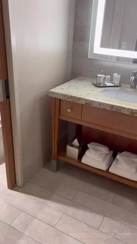 Queen Room with Two Queen Beds bathroom picture #3