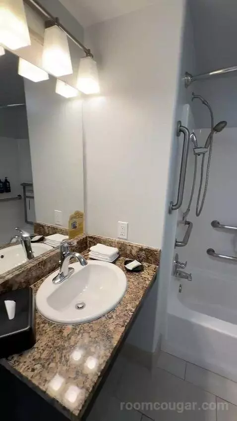 Studio, Queen Bed, Sofa Bed, ADA (#519) bathroom picture #9