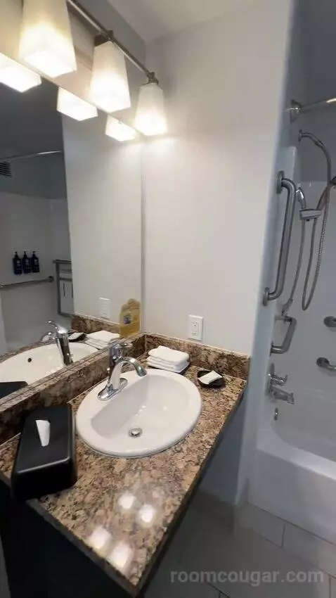 Studio, Queen Bed, Sofa Bed, ADA (#519) bathroom picture #10